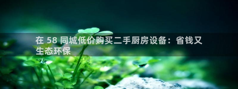 凯时AG网：在 58 同城低价购买二手厨房设备：省钱又
生态