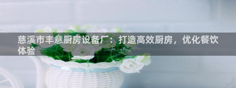 ZL尊龙凯时平台：慈溪市丰意厨房设备厂：打造高效厨房，优化餐