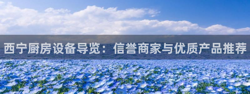 尊龙app登录不了