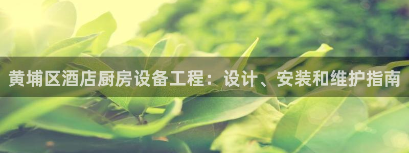 尊龙人生就是博旧：黄埔区酒店厨房设备工程：设计、安装和维护指