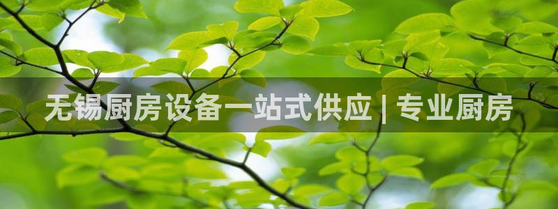 凯时K66最新版本下载：无锡厨房设备一站式供应 | 专业厨房