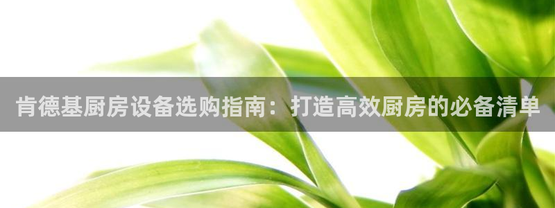 尊龙人生就是博用现金玩一下：肯德基厨房设备选购指南：打造高效