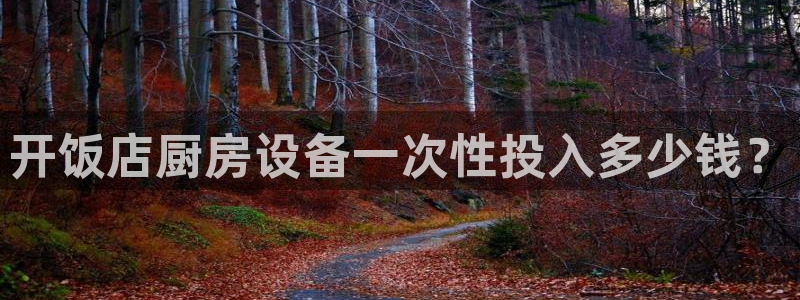 尊龙网址是多少：开饭店厨房设备一次性投入多少钱？