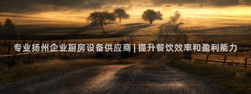 尊龙网页：专业扬州企业厨房设备供应商 | 提升餐饮效率和盈利
