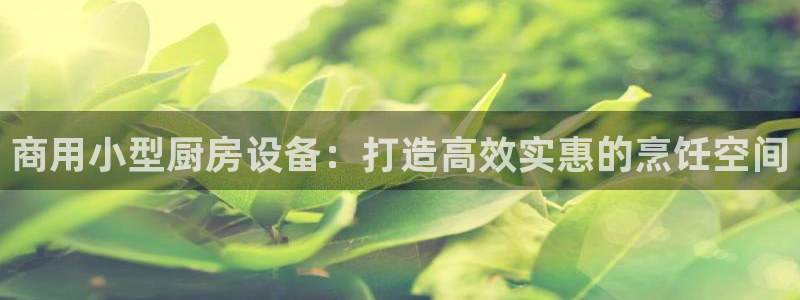 尊龙凯时出款：商用小型厨房设备：打造高效实惠的烹饪空间