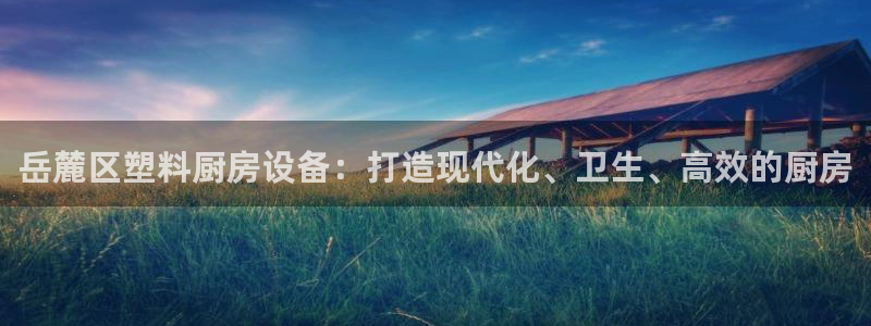 尊龙d88官网确来就送38：岳麓区塑料厨房设备：打造现代化、