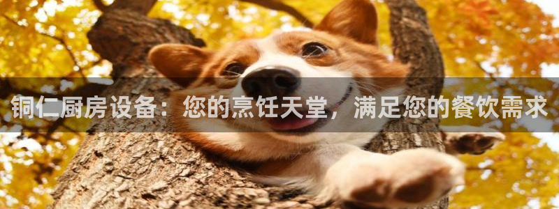 尊龙官网登录·(中国)官方网站-bd SPORTS：铜仁厨房
