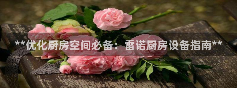 百度一下尊龙：**优化厨