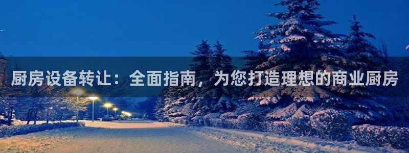 凯时国际网站域名：厨房设备转让：全面指南，为您打造理想的商业