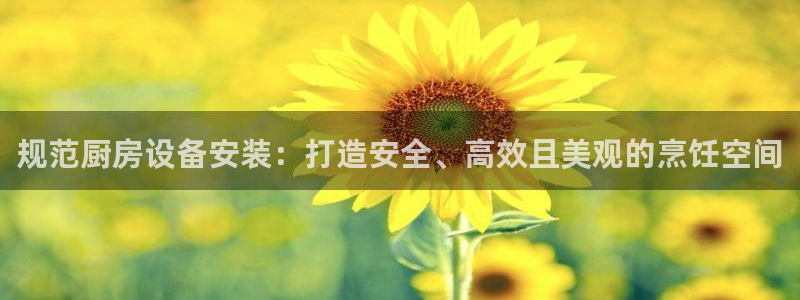 尊龙凯时电竞：规范厨房设备安装：打造安全、高效且美观的烹饪空