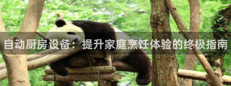 尊龙凯时人生就是博中国官网：自动厨房设备：提升家庭烹饪体验的