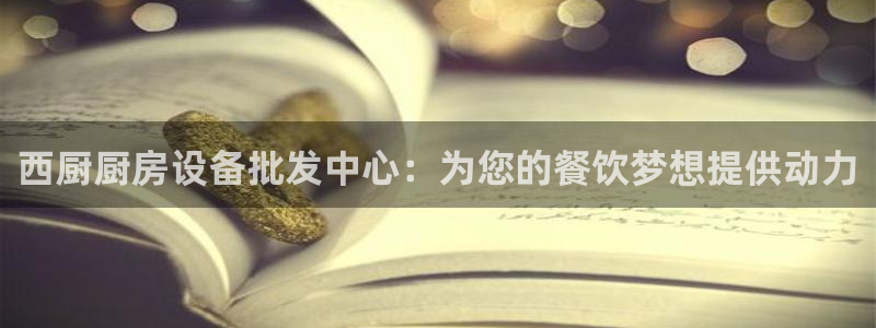 z6com尊龙凯时代理：西厨厨房设备批发中心：为您的餐饮梦想