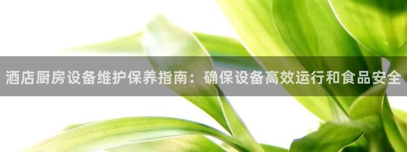 凯时k8娱乐唯一官网：酒店厨房设备维护保养指南：确保设备高效