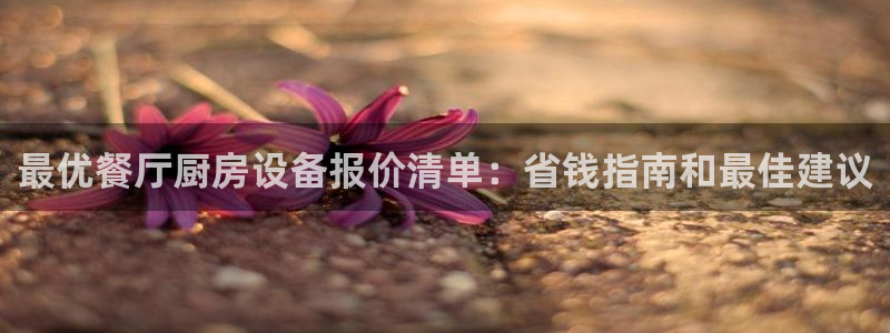 尊龙凯时旗舰厅官网：最优餐厅厨房设备报价清单：省钱指南和最佳