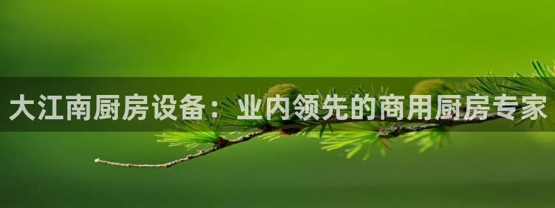 尊龙凯时app官方网站：大江南厨房设备：业内领先的商用厨房专