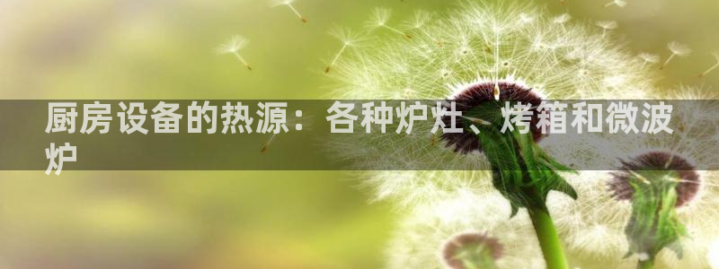 凯时K8国际：厨房设备的