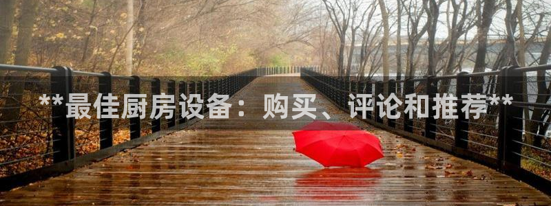 kb88凯时会员登录：**最佳厨房设备：购买、评论和推荐**