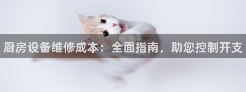 z6尊龙凯时旗：厨房设备维修成本：全面指南，助您控制开支