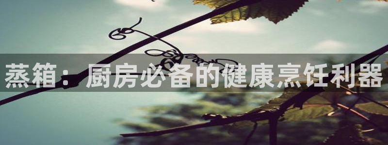 尊龙新版App下载