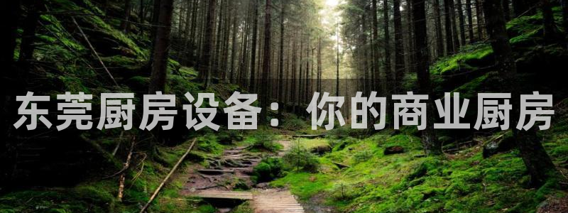 尊龙z6网址：东莞厨房设备：你的商业厨房