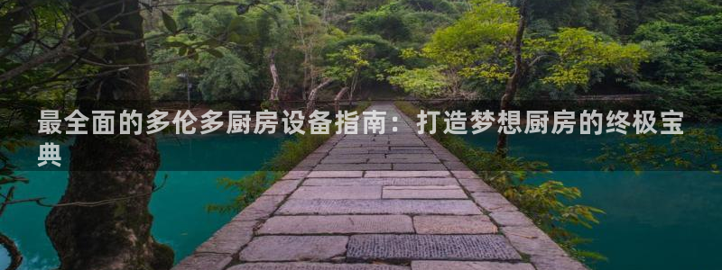 尊龙官方平台是正品吗：最全面的多伦多厨房设备指南：打造梦想厨