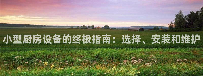 下载尊龙app：小型厨房设备的终极指南：选择、安装和维护