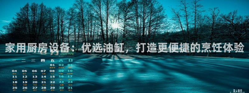 尊龙人生就要博旧版：家用厨房设备：优选油缸，打造更便捷的烹饪