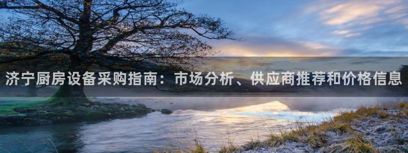 凯时官网手机版下载：济宁厨房设备采购指南：市场分析、供应商推