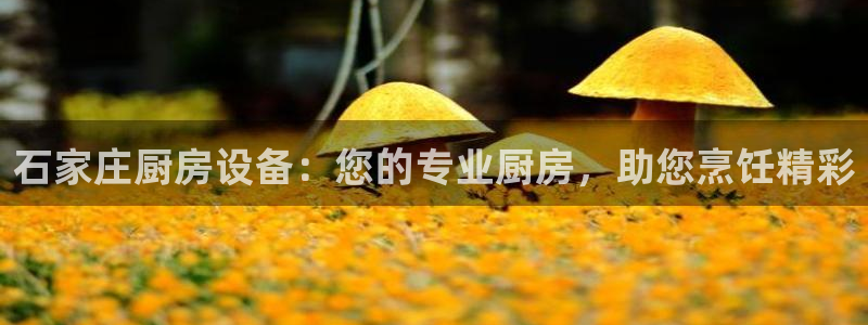 尊龙凯时官方网站下载