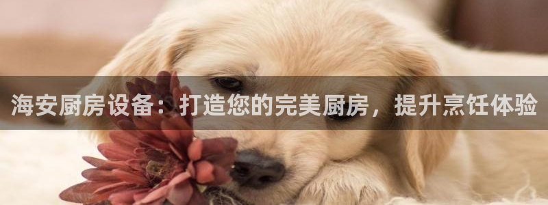 尊龙400：海安厨房设备：打造您的完美厨房，提升烹饪体验
