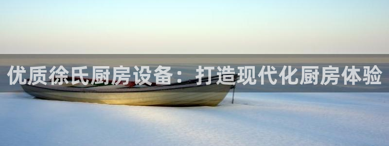 尊龙凯时提现不了：优质徐氏厨房设备：打造现代化厨房体验