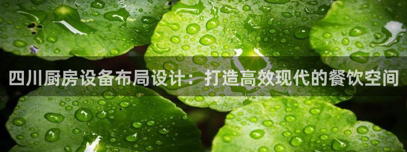 尊龙最经典的三个角色：四川厨房设备布局设计：打造高效现代的餐
