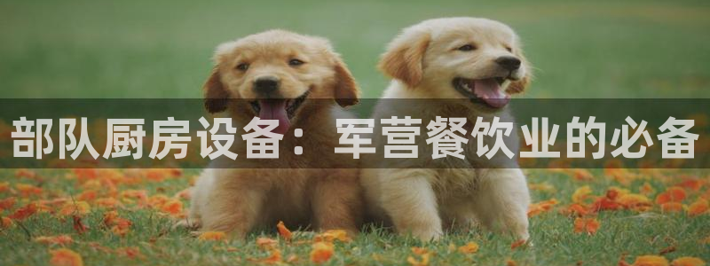 凯时kb88公司简介