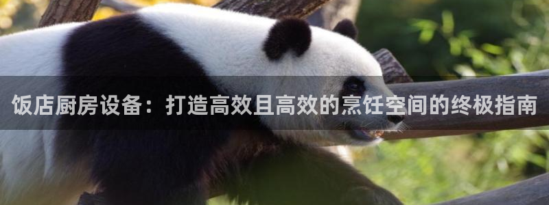 尊龙网页：饭店厨房设备：打造高效且高效的烹饪空间的终极指南