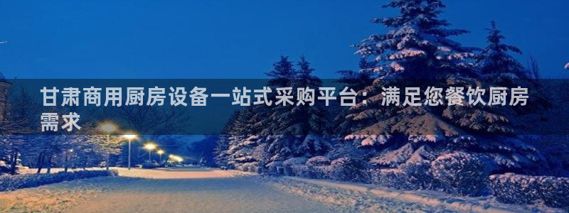 尊龙凯时网娱乐最新版：甘肃商用厨房设备一站式采购平台：满足您