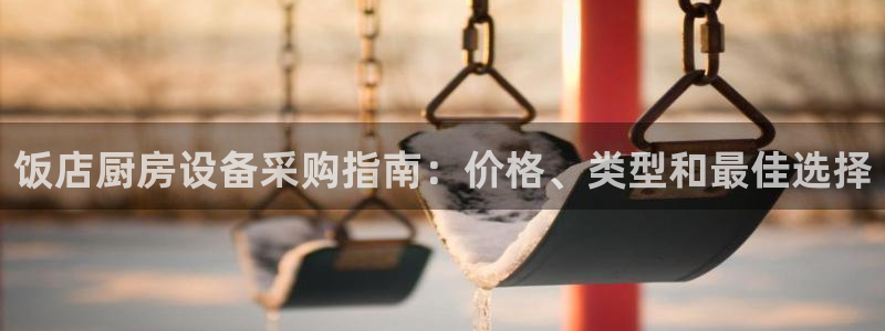 尊龙d88平台登录：饭店厨房设备采购指南：价格、类型和最佳选