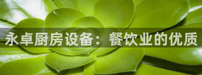 尊龙凯时平台正规吗：永卓厨房设备：餐饮业的优质