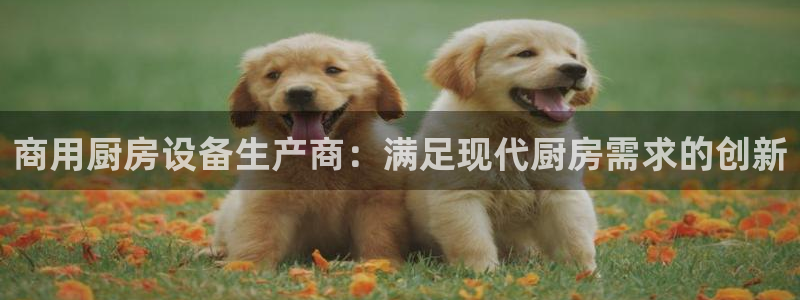 尊龙一人生就是搏：商用厨房设备生产商：满