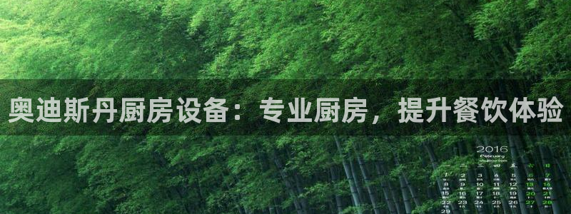z6com尊龙：奥迪斯丹厨房设备：专业厨房，提升餐饮体验
