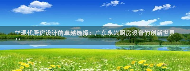 尊龙人生就是博：**现代厨房设计的卓越选择：广东永兴厨房设备