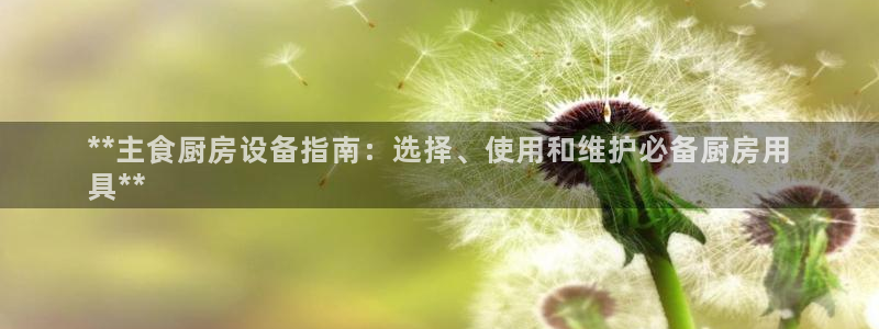 凯时k66登录：**主食厨房设备指南：选择、使用和维护必备厨