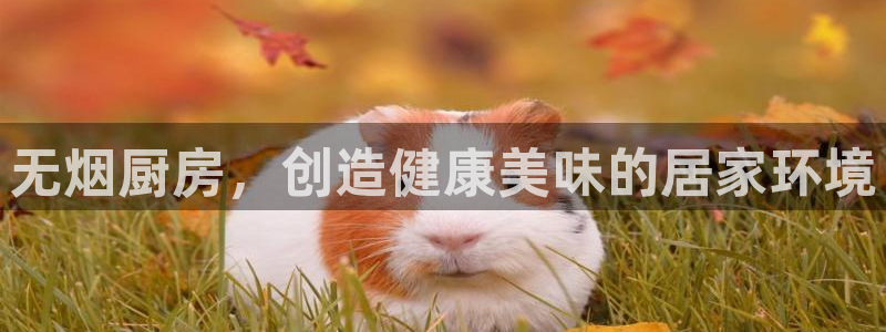 尊龙新版人生就是博!