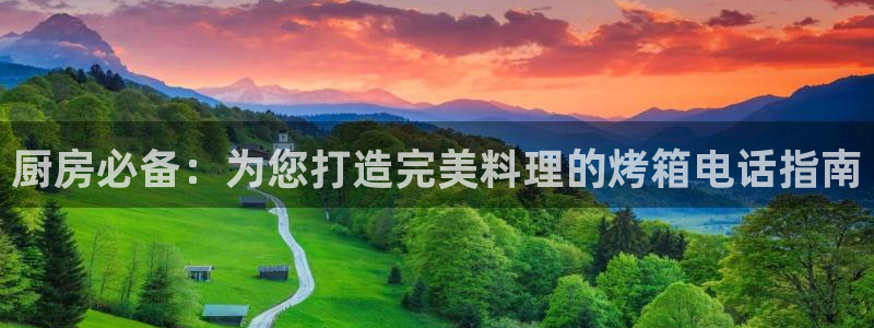 尊龙专访视频：厨房必备：为您打造完美料理的烤箱电话指南