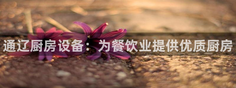尊龙网页