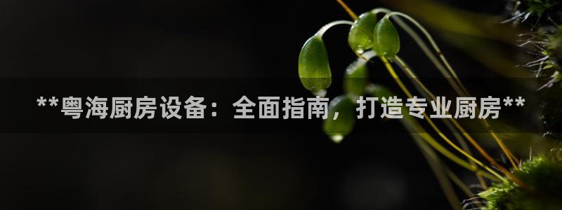 尊龙凯时官方网站