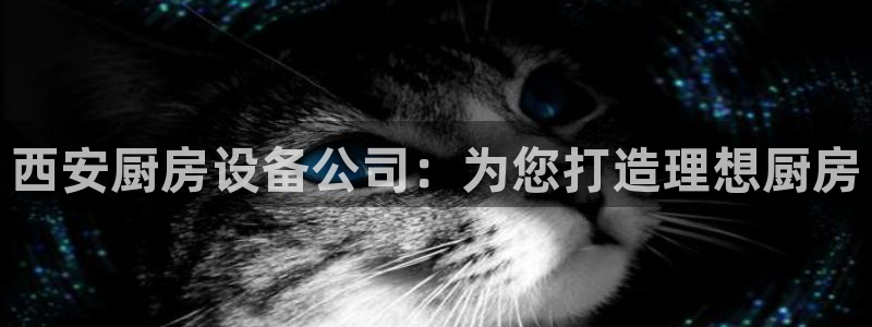 尊龙尊龙：西安厨房设备公司：为您打造理想
