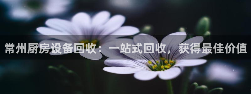 凯时ag旗舰厅网址是什么