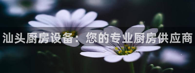 尊龙凯时人生就是搏平台：汕头厨房设备：您的专业厨房供应商