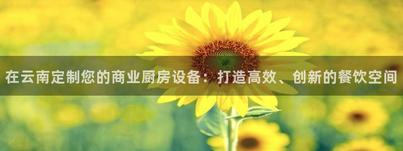 尊龙凯时ag旗舰厅试玩：在云南定制您的商业厨房设备：打造高效