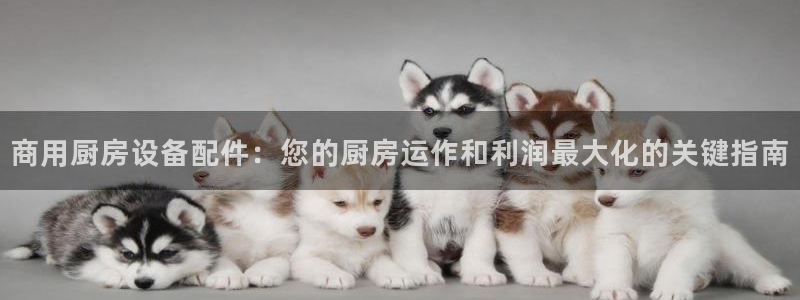 尊龙1003尊龙 - 百度：商用厨房设备配件：您的厨房运作和